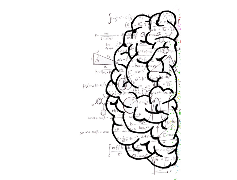 only_left_brain