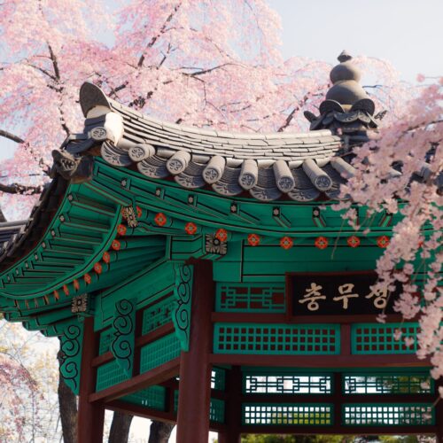 Bulgogi, Donuts & Everything Nice at Seoul Here!