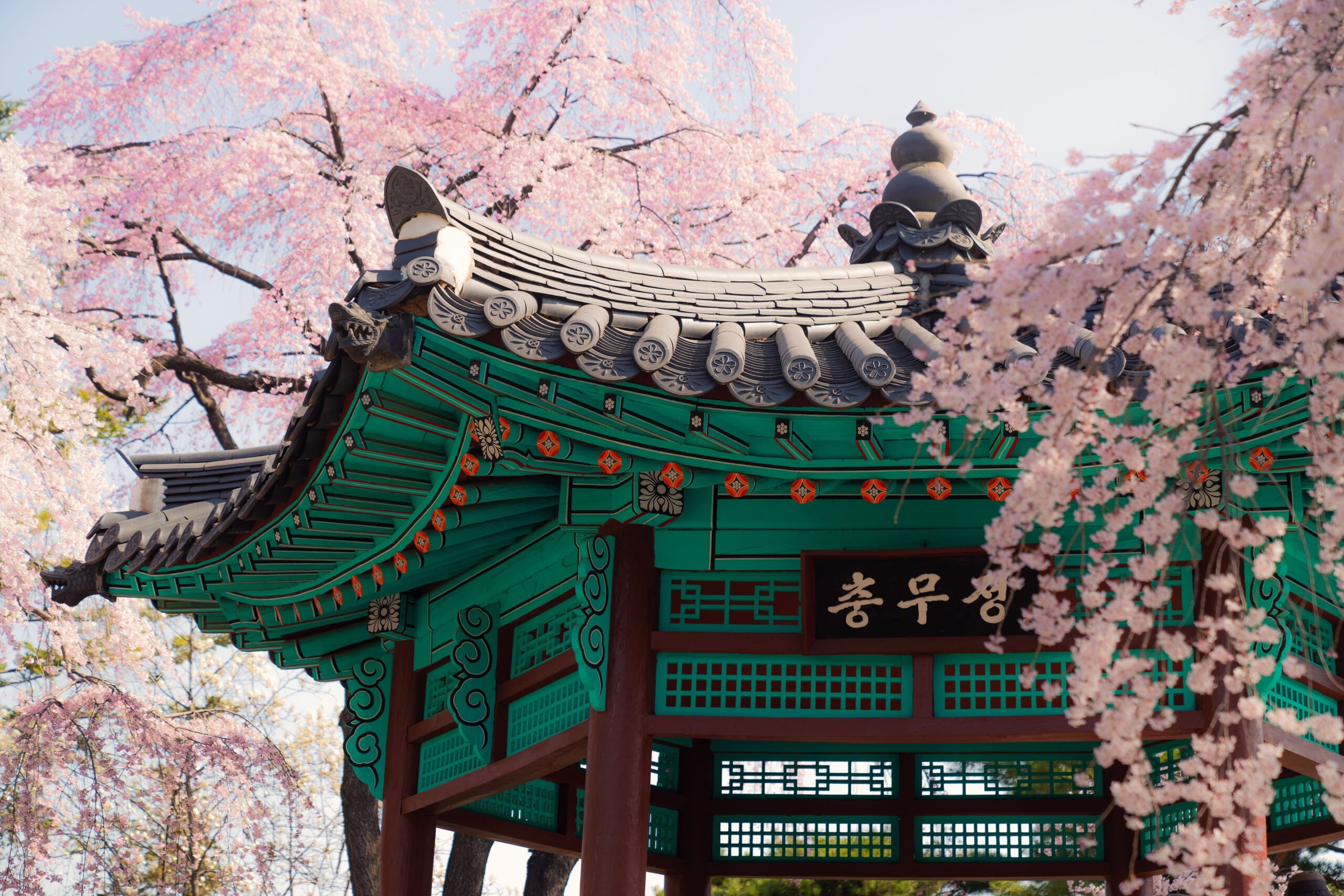 You are currently viewing Bulgogi, Donuts & Everything Nice at Seoul Here!